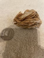 Schöner Wüstenrosenstein, Mineral, Sammlerstück, Rarität