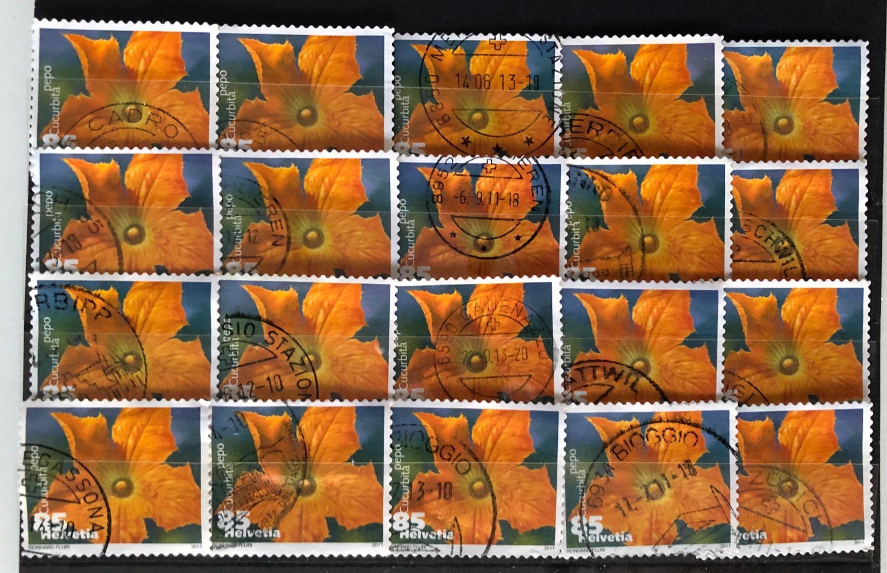 Tutti i francobolli: Nr.1376  Zucchini mit Stempel 2011    – Usato da Aarau venduto da Billa007