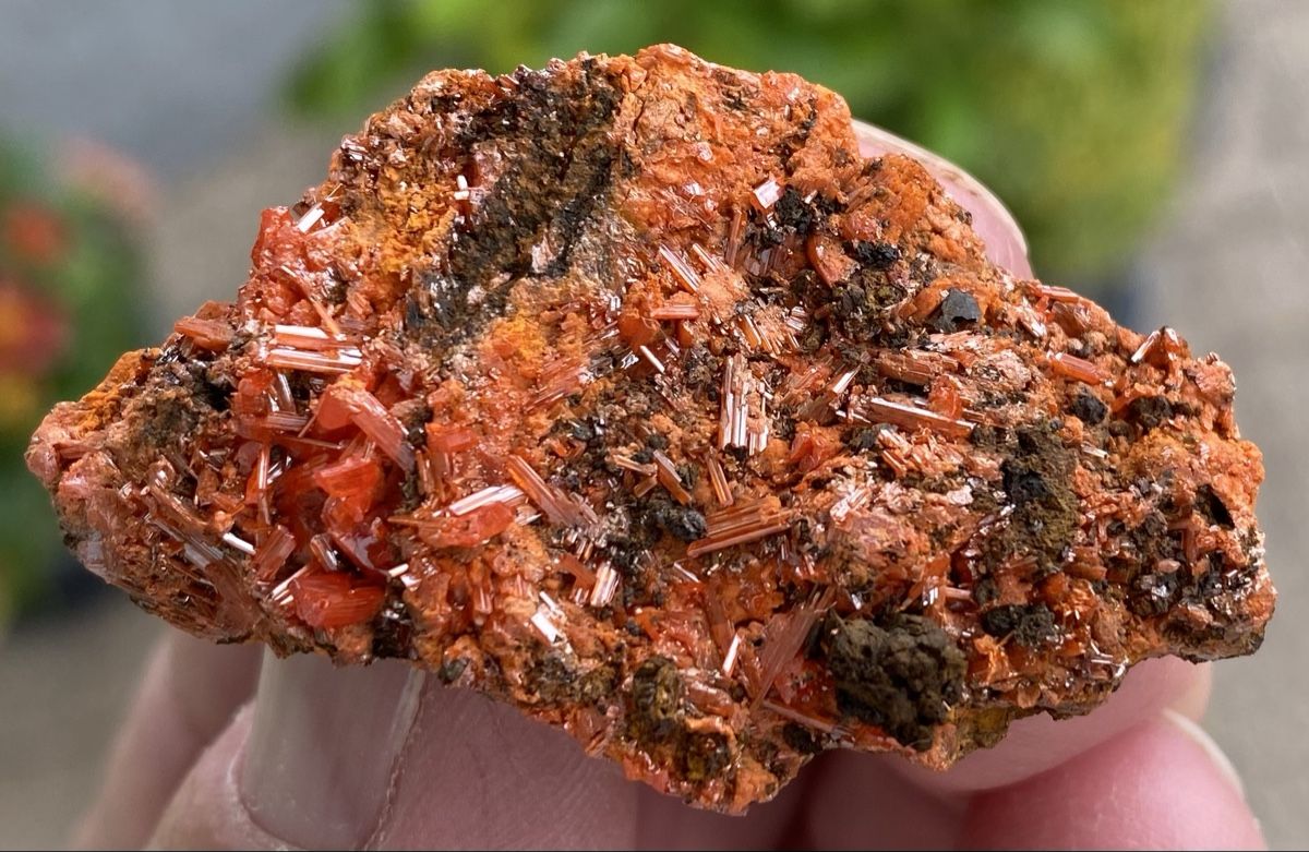 Mineralien & Heilsteine: Top Stück Krokoit  – Gebraucht aus Selzach von 321compac 7