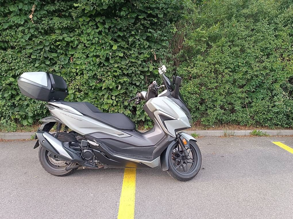 Honda Scooter: Honda Forza 350 – Usato da Dietlikon venduto da Gordonrichard 3