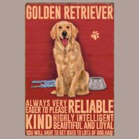 🔥 GOLDEN RETRIEVER Blechschild 🎀 20x30cm OVP 🔥