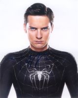 Original Autogramm von TOBEY MAGUIRE Spider-Man (Großfoto)