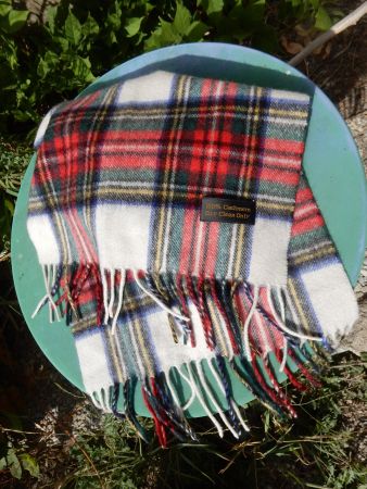 Schal       100 %  KASCHMIR       NEU