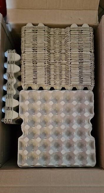 Eierkarton Horden 170 Stück | Kaufen auf Ricardo