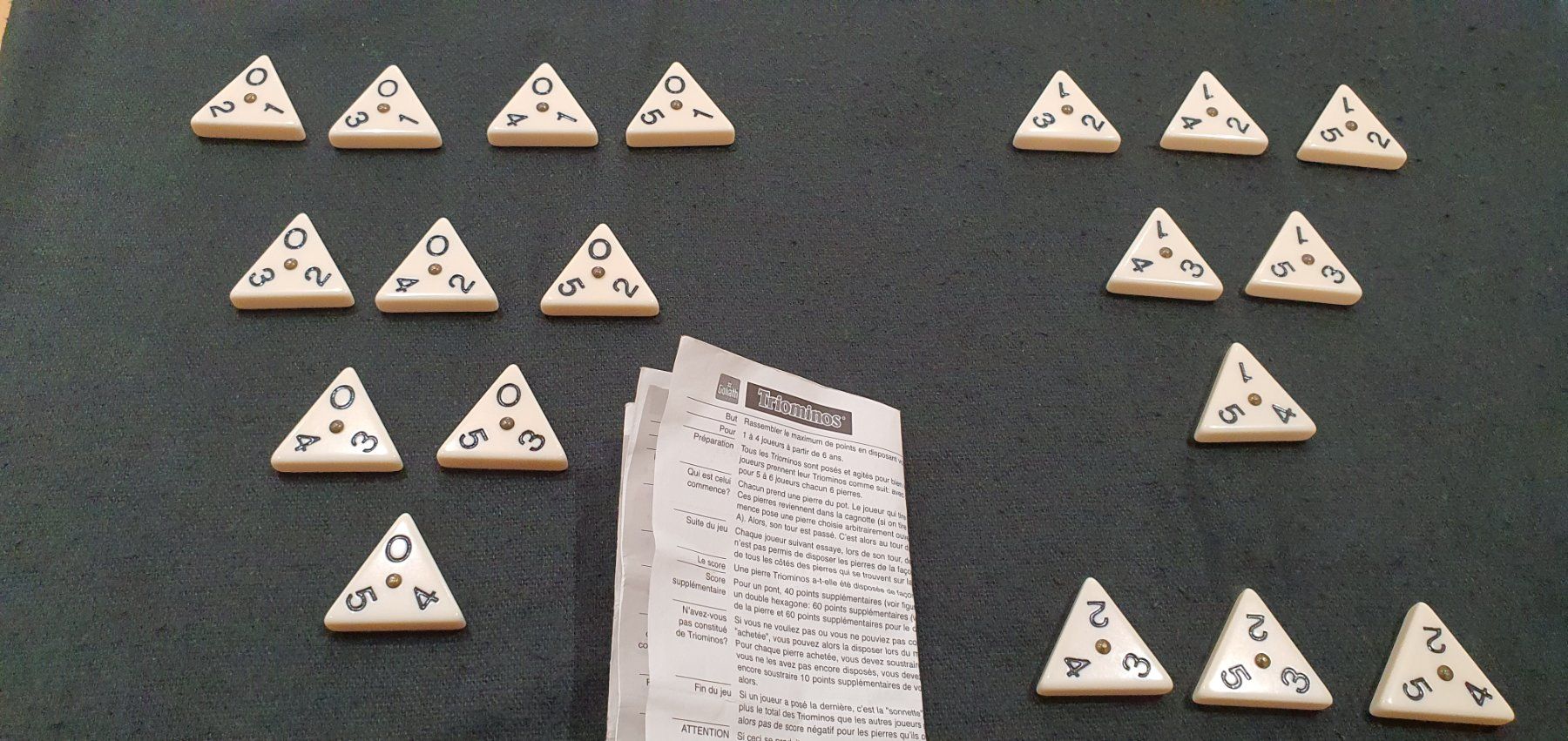 Giochi: Neuwertiges Triominos - 56 Teile – Usato da Jona venduto da VivianPatrick 6