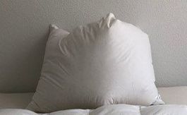 Schlafkissen Sleepline 65x100 cm NEU