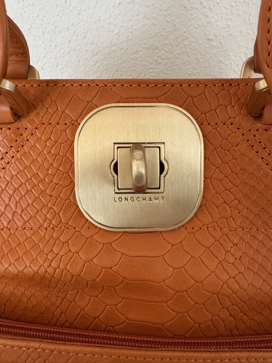 Longchamp Borse da donna: Limitierte Longchamp Handtasche 🍊 – Usato da Galgenen venduto da rpoto 3