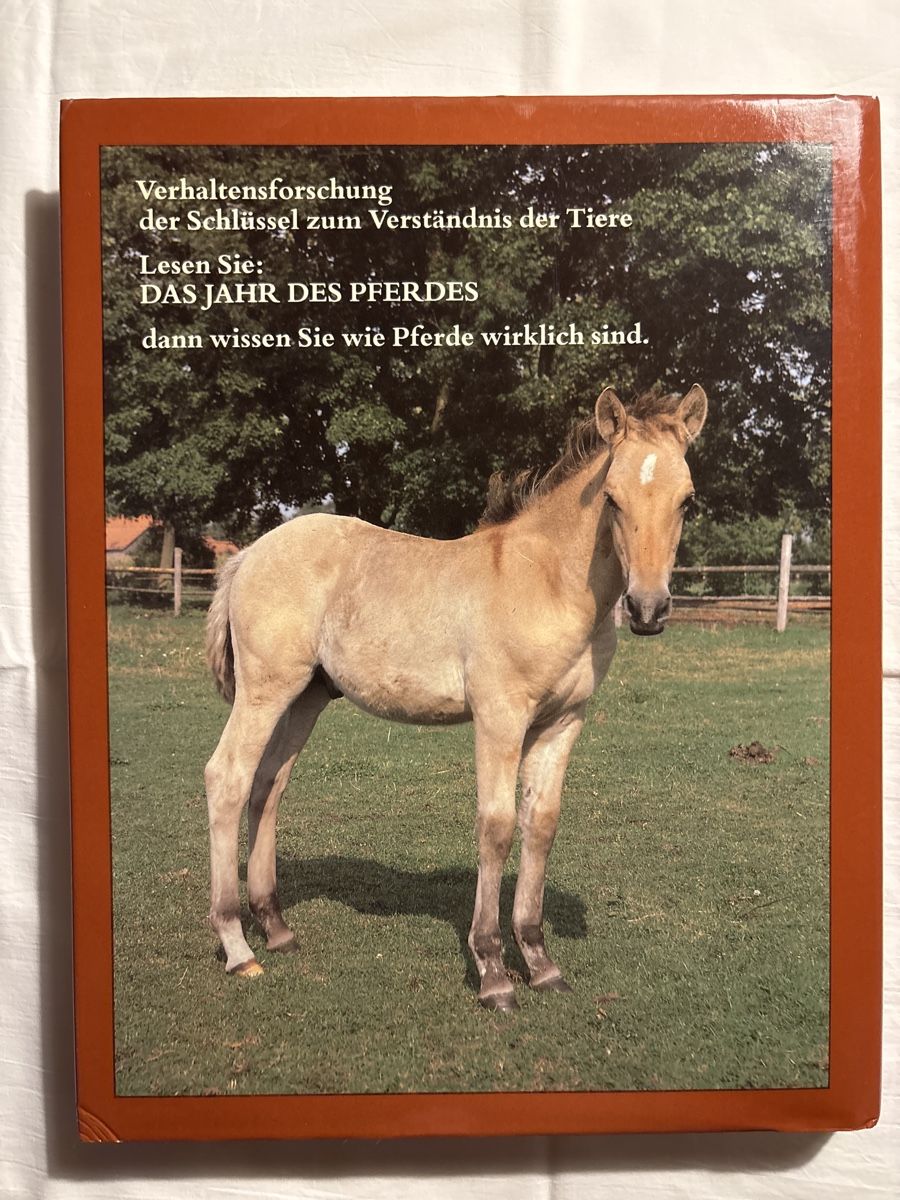 Libri: Das Jahr des Pferdes von Dr. Michael Schäfer – Usato da Lostorf venduto da Felixa64 1