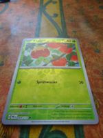 POKEMON  Knapfel   H  PRE DE  009/131  KP40  2025