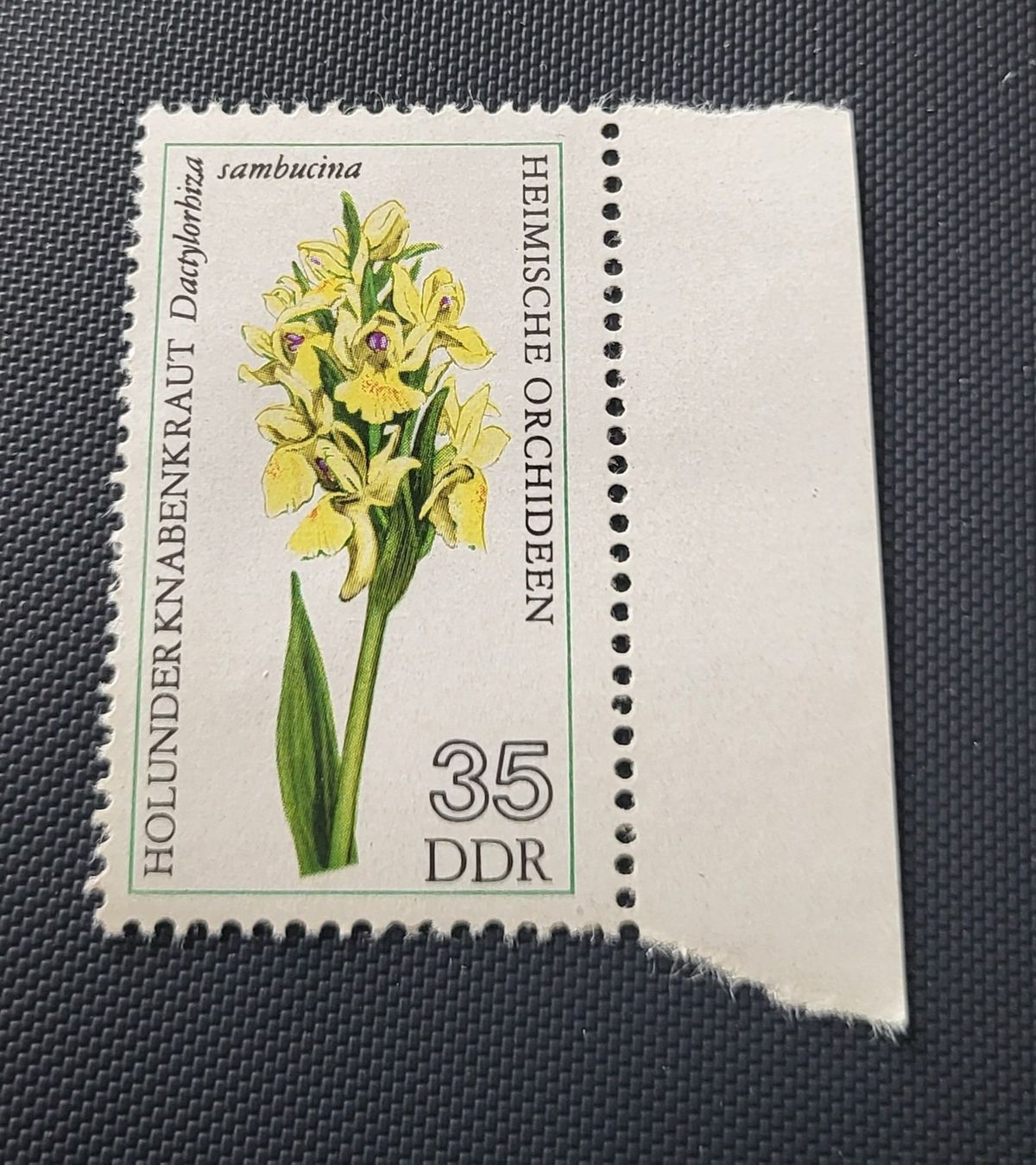 Alle Briefmarken: DDR 1976 briefmarke – Gebraucht aus St Gallen von Stampsalshobby