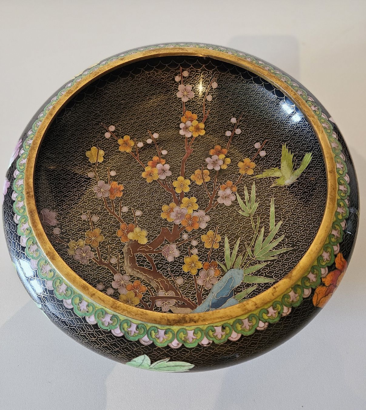 Coupes: Cloisonne Schale – D'occasion à Hauptwil par Schwertfisch24