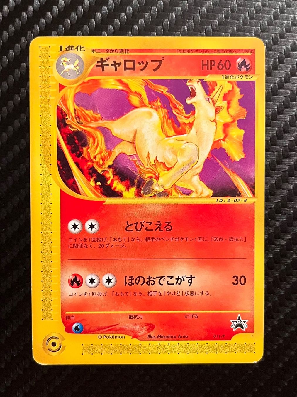 Pokémon Carte collezionabili: Rapidash 011/P Promo Japanese – Usato da Genève venduto da WildPidgey