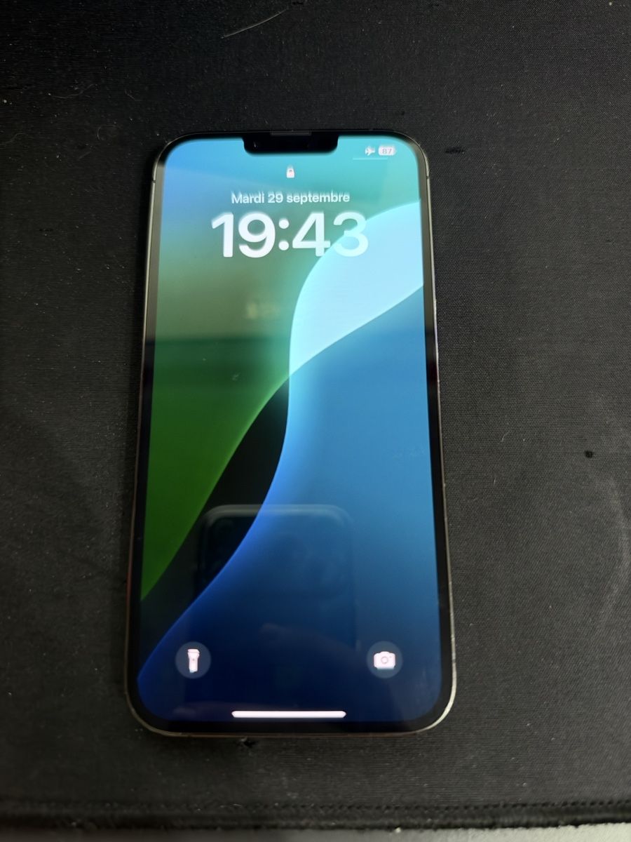 Apple Handys / Smartphones: iphone 13 pro max  – Gebraucht aus Le Mont-sur-Lausanne von had_8vyg