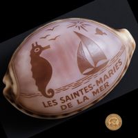 Gravierte Kauri Schnecke 🐚 „Les Stes-Maries de la Mer“