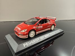 Peugeot 307 WRC - Rally Monte Carlo - 1/43