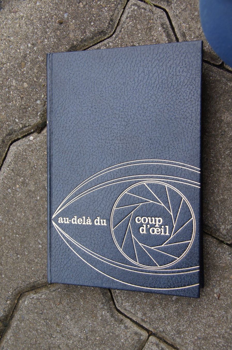 Bücher: Au-dela du coup d'Oeil – Gebraucht aus Sierre von Erjou