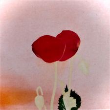 Profile image of Aesthetikbedarf