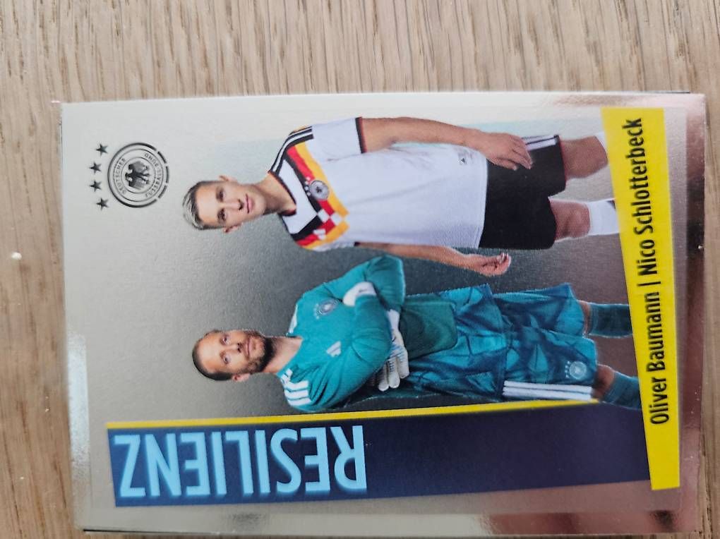 Cartoline: 32 Panini SammelKARTEN – Usato da Luzern venduto da SissiN89 1