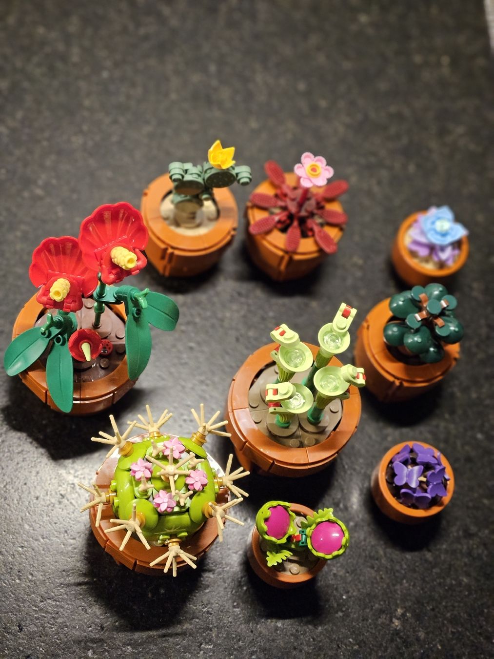 Lego Jouets: Lego Icons/Botanical – D'occasion à Bremgarten b. Bern par Rooney3047 1