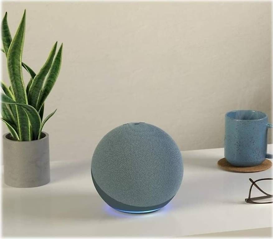 Amazon Haut-parleurs: Amazon Alexa Echo – D'occasion à Ettenhausen TG par bon_drr7