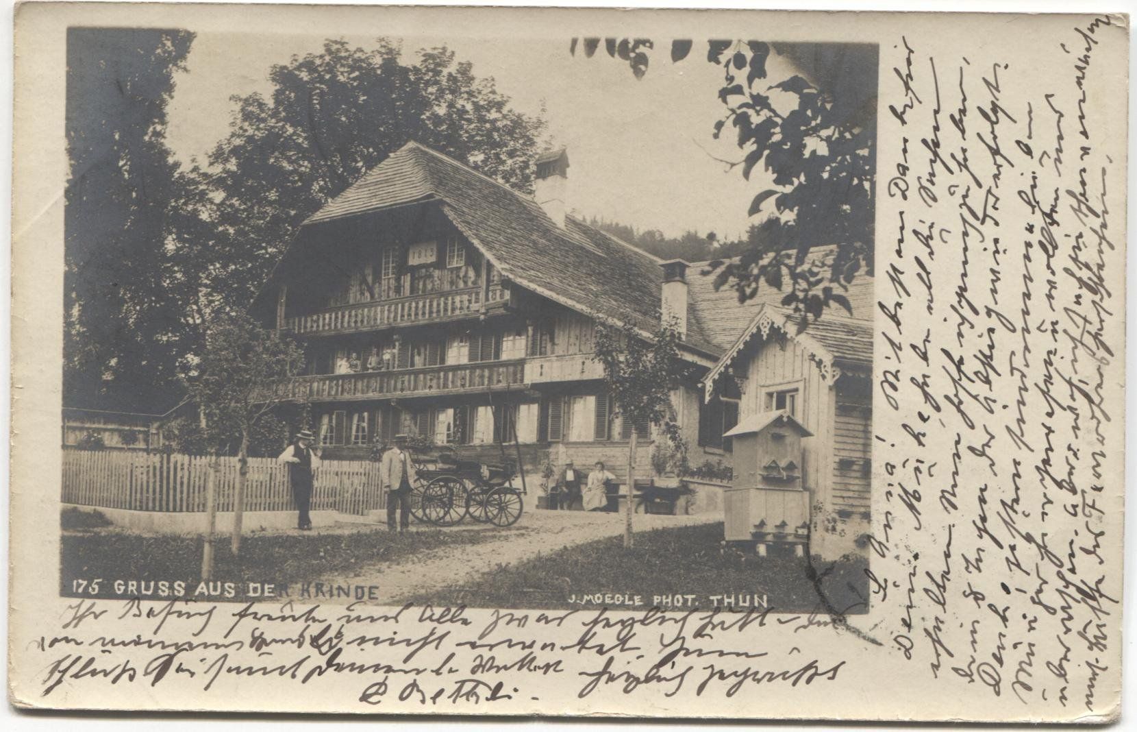 Cartoline postali: RINGOLDSWIL BE 1903 Krinde mit Bienenhaus – Usato da Wil SG venduto da Clanx