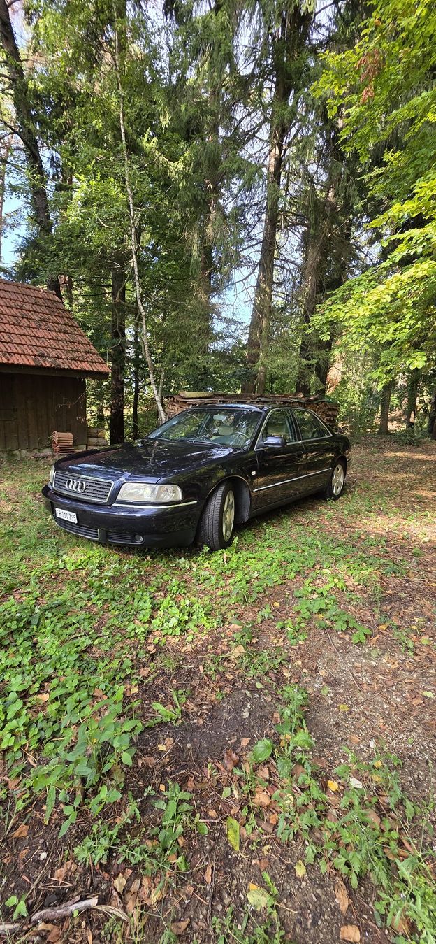 Audi Autos: Audi a8 3.7 v8 quattro youngtimer – Gebraucht aus Cugy FR von nih_9dzj 1