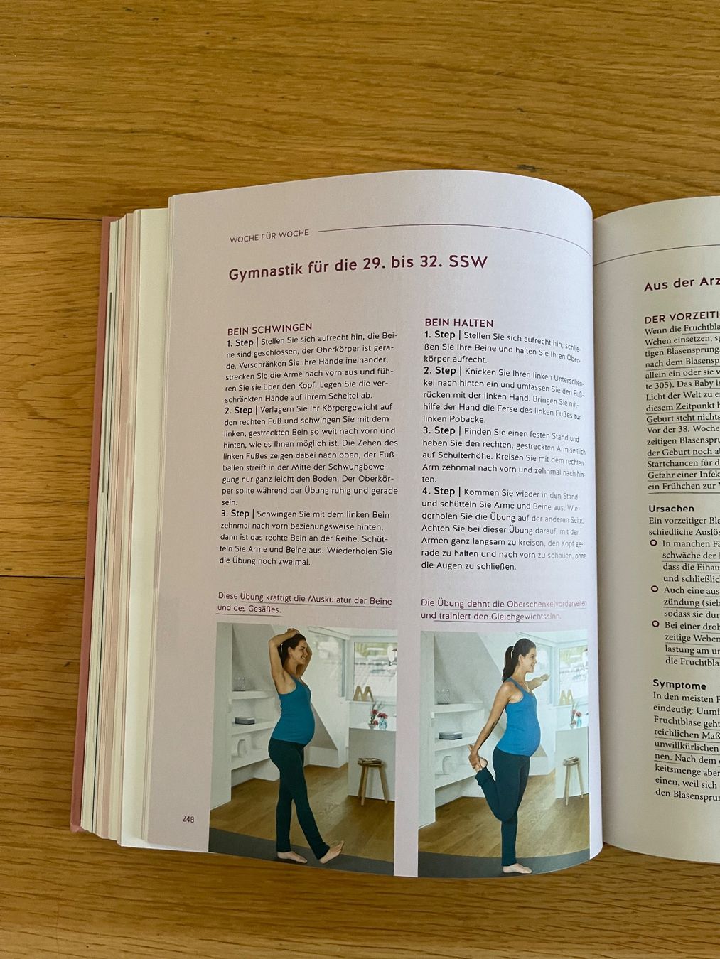 Libri: Buch "Das grosse Buch zur Schwangerschaft", Hardcover – Usato da Ehrendingen venduto da abo_p9n6 2