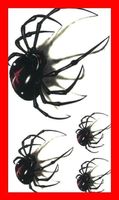 3D Tattoo Spinne schwarze Wittwe Spider Halloween Fasnacht