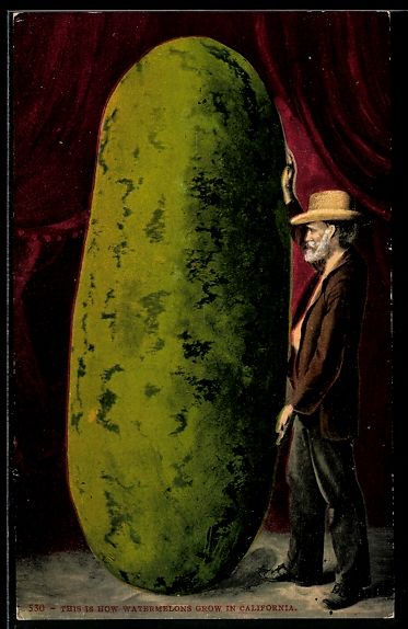 Cartoline postali: Mann mit riesieger Wassermelone aus Kali – Usato da Berlin venduto da bartko-reher