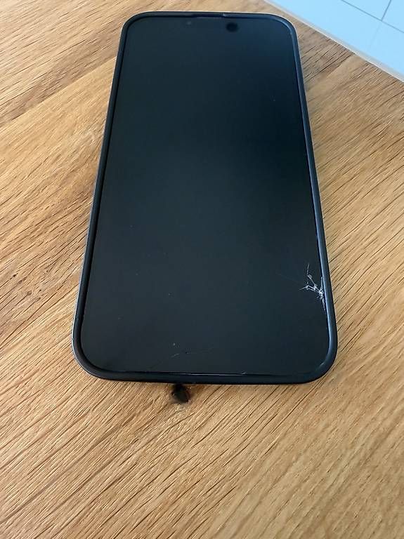 Apple Telefoni cellulari / Smartphones: iPhone 13 Pro Max – Usato da Spiez venduto da joe_8vs6 1