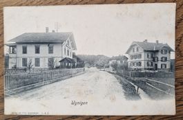 Wynigen 1907, n.Thörishaus z. Wwe Ingold