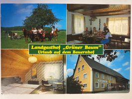 Carte postale vintage "Grüner Baum" Allemagne années 80