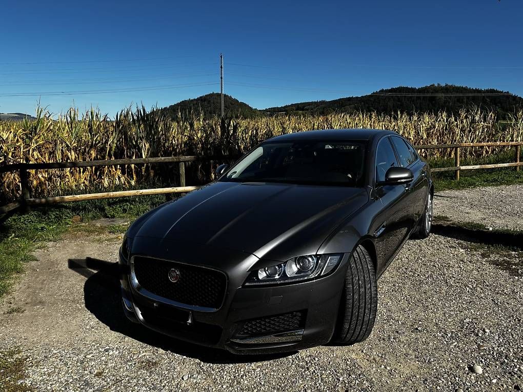 Automobili: Jaguar XF Prestige – Usato da Oberkirch LU venduto da Roenzki01