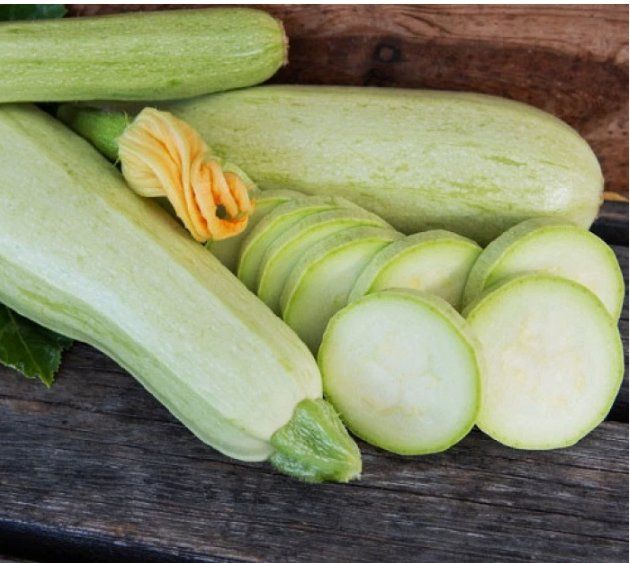 Piante & sementi: ZUCCHETTI / Zucchini "Bianca di Trieste"/ 2 Samen – Nuovo (secondo la descrizione) da Hinteregg venduto da ERFOLG78