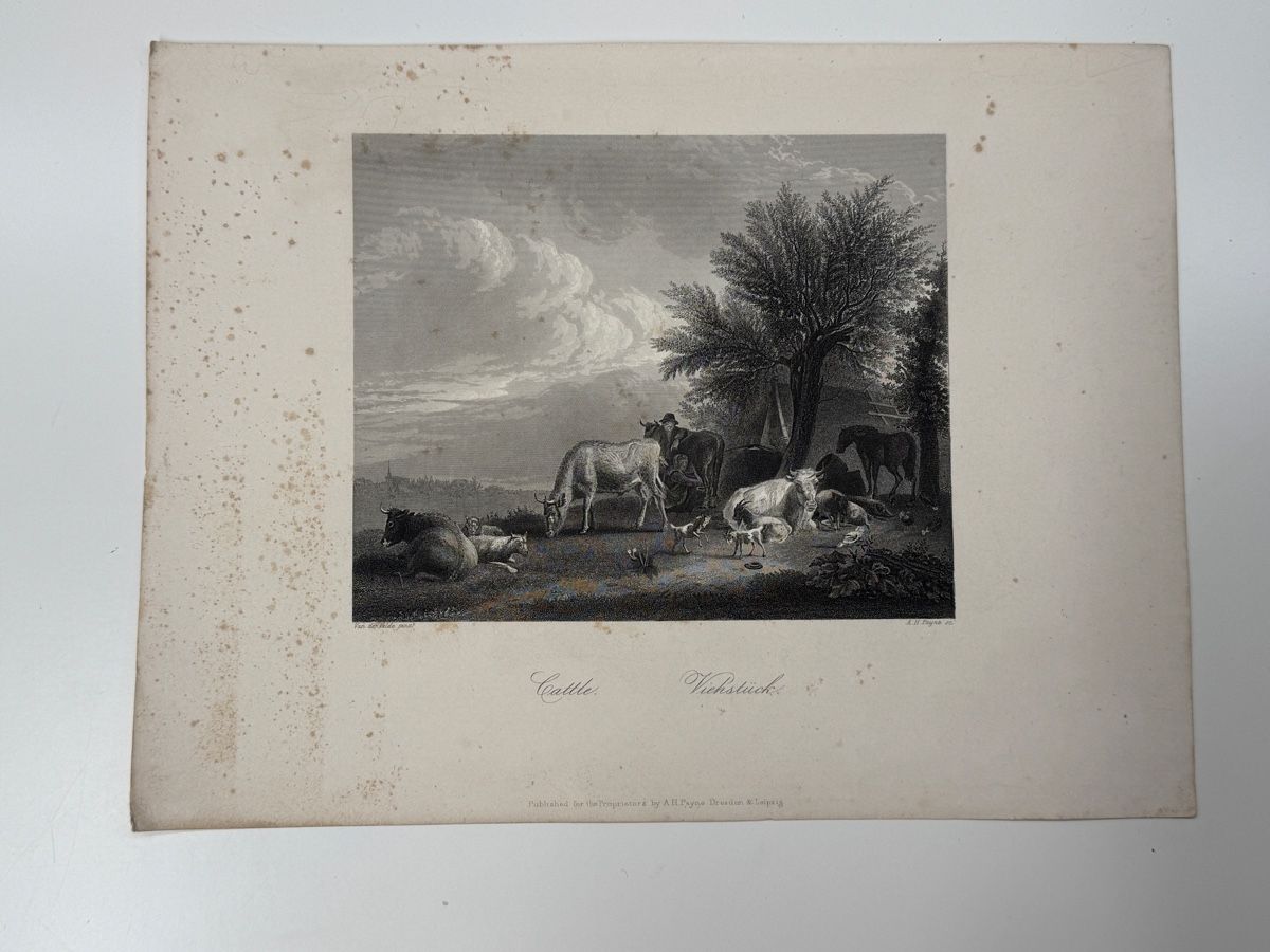 Stiche: Antike Stiche "Evening" & "Cattle" von A.H. Pyne – Gebraucht aus Erstfeld von Mario_boe0 4