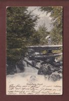Etude près NOVEL - 1903