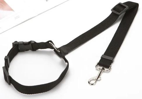 Attrezzatura da arrampicata: Haltegurt (Hund) Auto inkl. Leine – Nuovo e nell'imballaggio originale da Langenbruck venduto da Gumsi 6