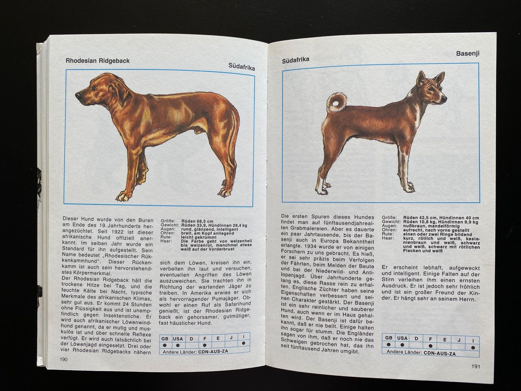 Libri: HUNDE LEXIKON – Usato da Nussbaumen AG venduto da schuba2000 5