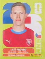 Panini FIFA World Cup CZE 10
