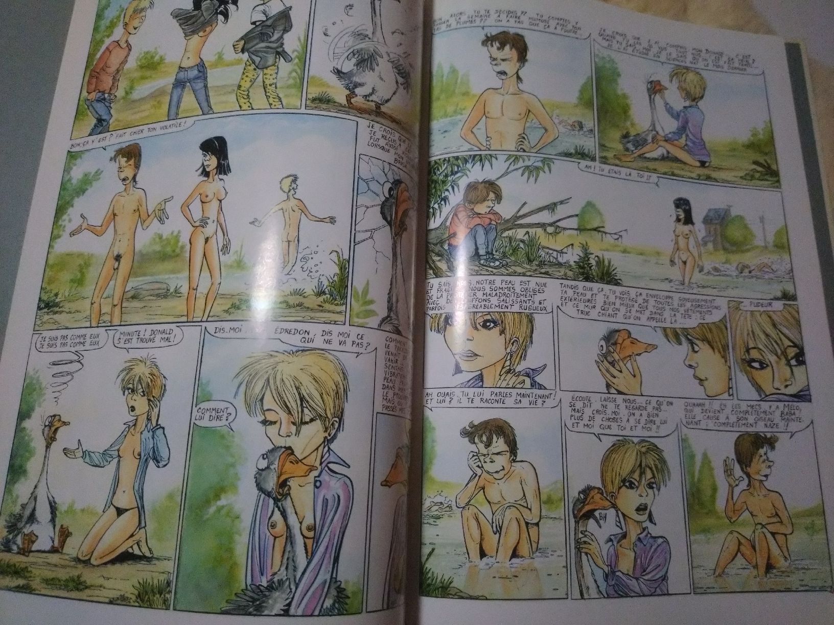 Fumetti: Ptiluc - Amours Volatiles - EO – Usato da Farvagny-le-Grand venduto da LaCaverne 3