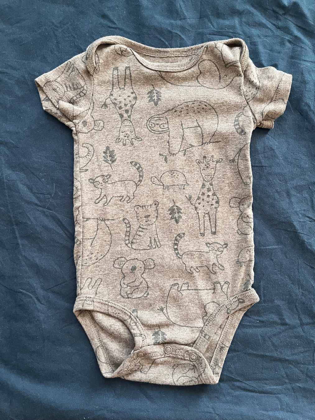 Carter's Biancheria intima: Kurzarmbody, Grösse 9 Monate – Usato da Triboltingen venduto da zimtsterndli5
