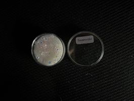 Swarovski Perlen Mix, Original, zum Basteln, Neu