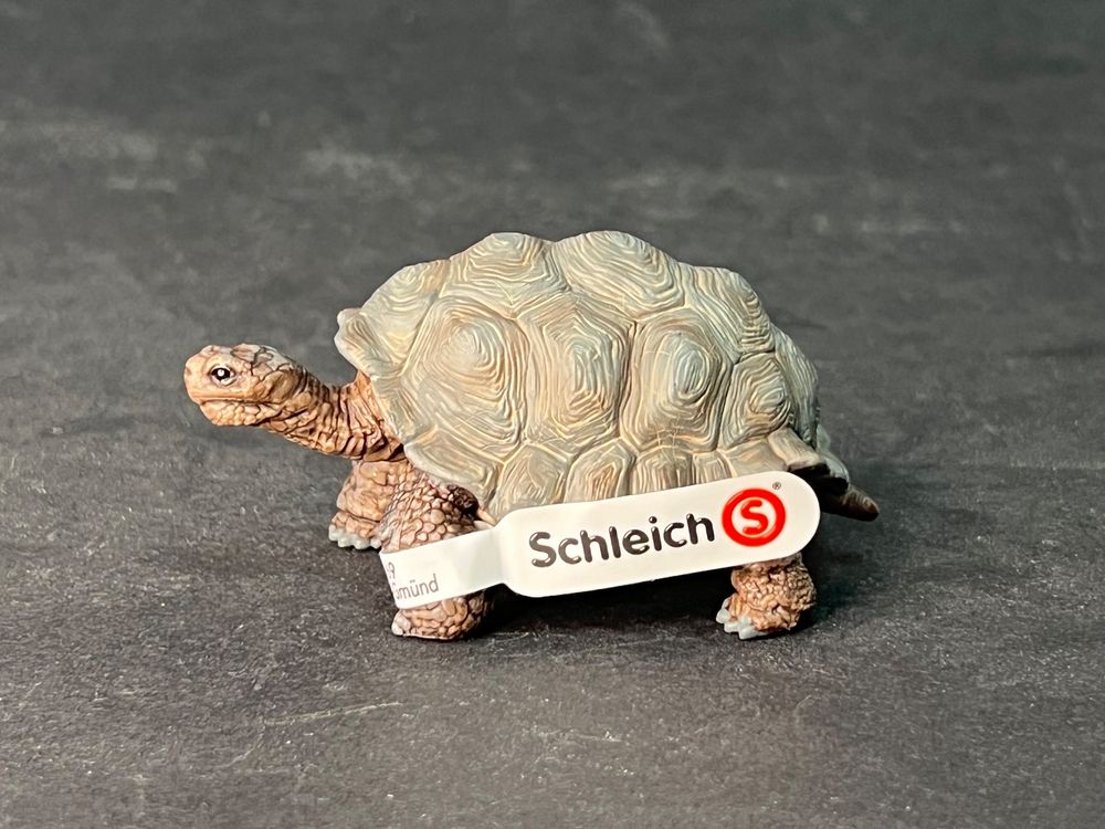 Schleich 14824 - Wild Life, Riesenschildkröte Schildkröte | Kaufen auf