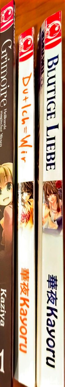 Fumetti: Manga, Grimoire, Blutige Liebe, Du+Ich=Wir – Usato da Engelberg venduto da Erza06 3