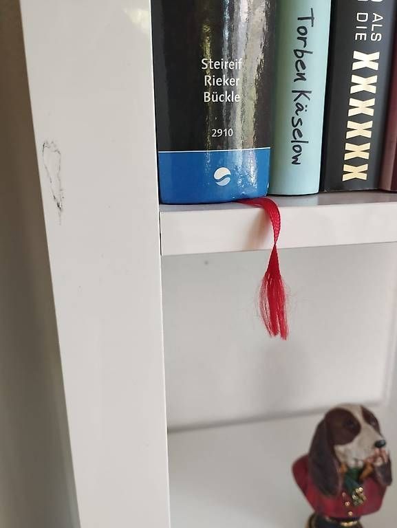 Regale: 1 Weisses Bücherregale – Gebraucht aus Murg von mar_bkc8 2