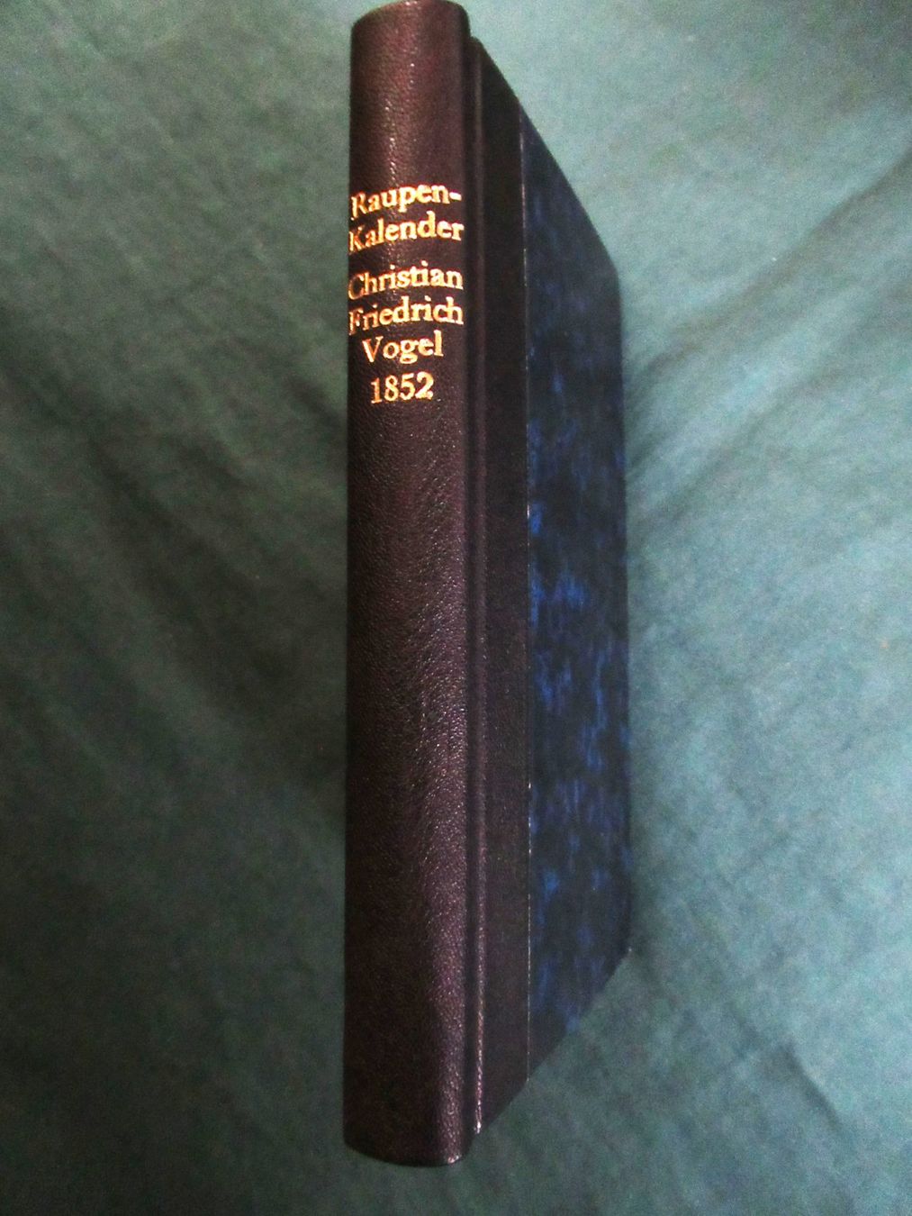Libri: Raupen    Schmetterlinge – Usato da Hedingen venduto da Protechnica