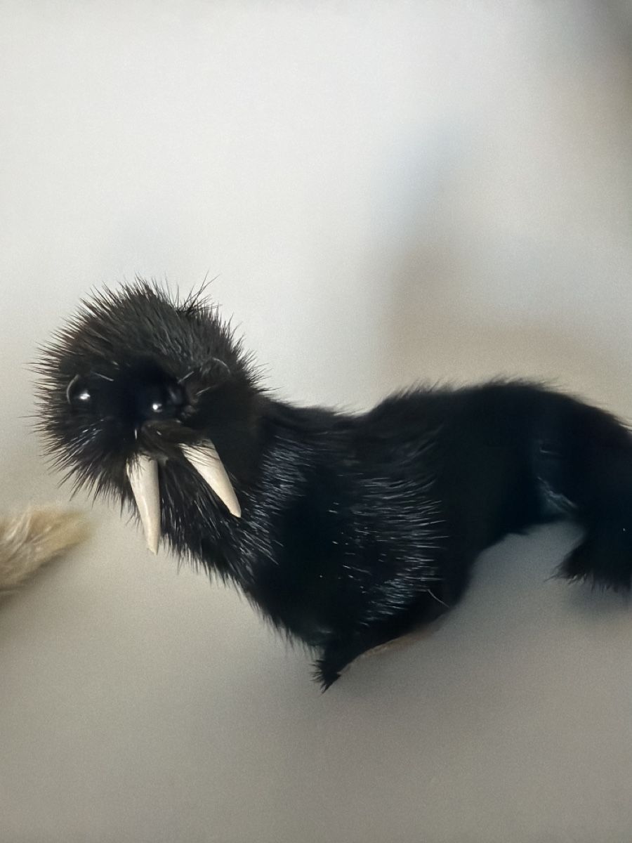 Statuette: Inuit Native Robben Seelöwe Fell Figuren ca 1960 – Usato da Gossau SG venduto da sushifactory 6