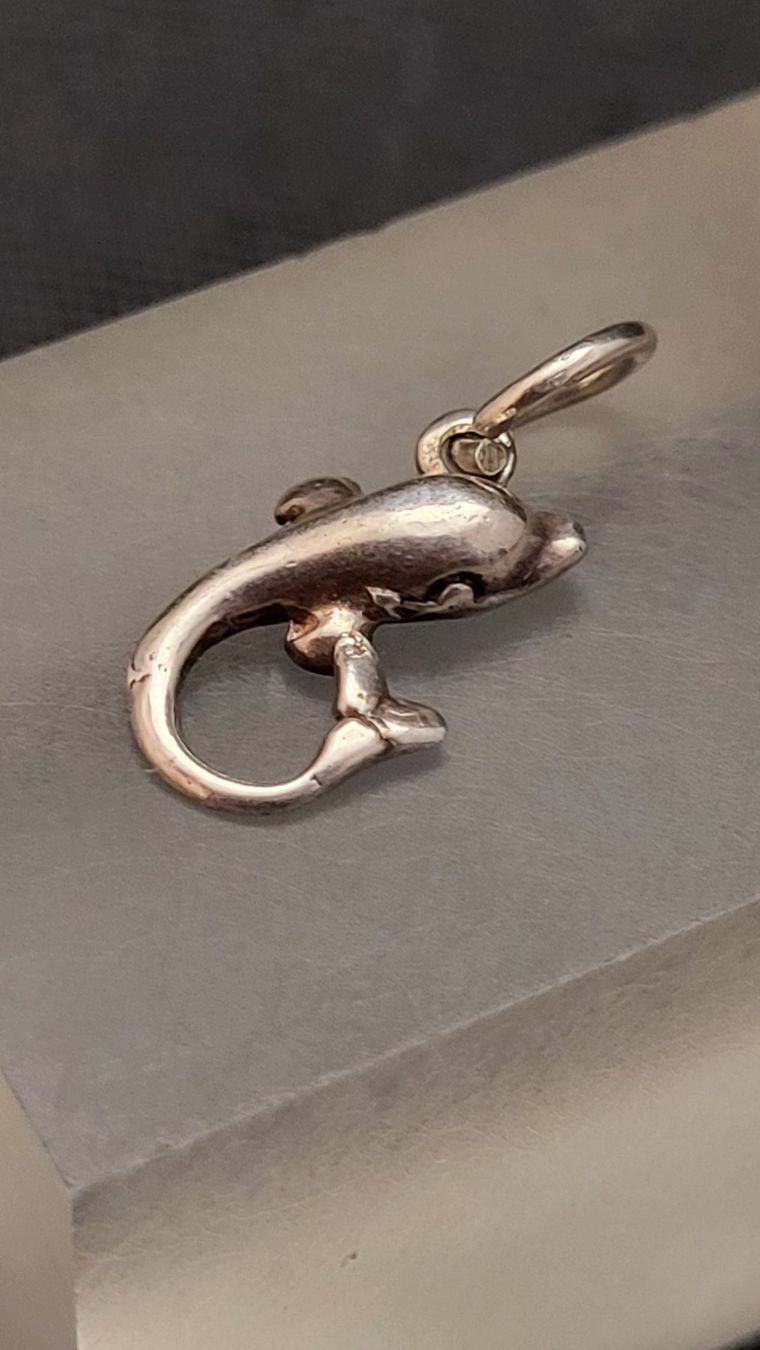 Ciondoli: Kleiner Silber-Anhänger DELFIN – Usato da Basel venduto da spinne02 2
