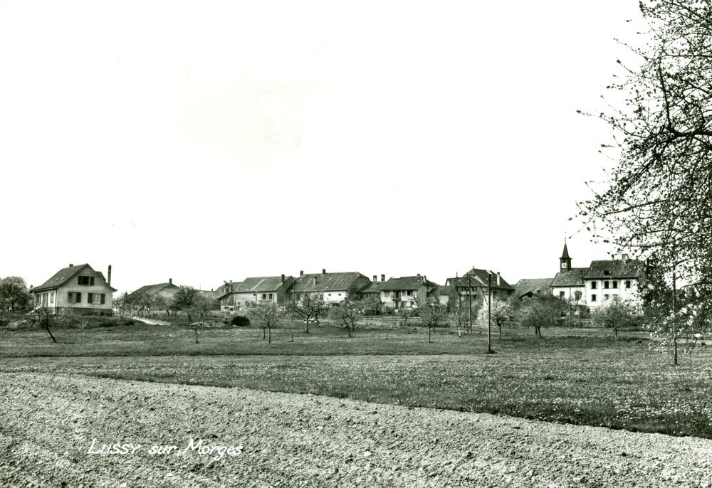 Lussy sur Kaufen auf Ricardo