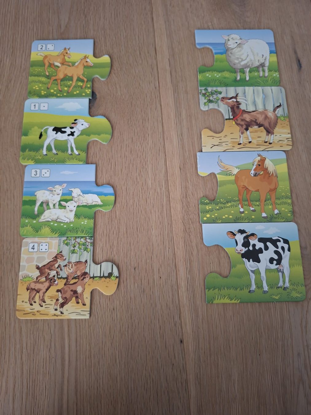 Giochi: Lernspiel Erstes Zählen – Usato da Arch venduto da rukus01 4
